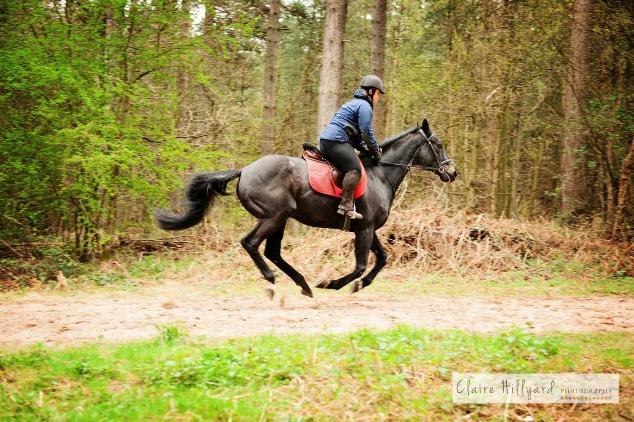 Lord Byron Lodge Blidworth Buitenkant foto