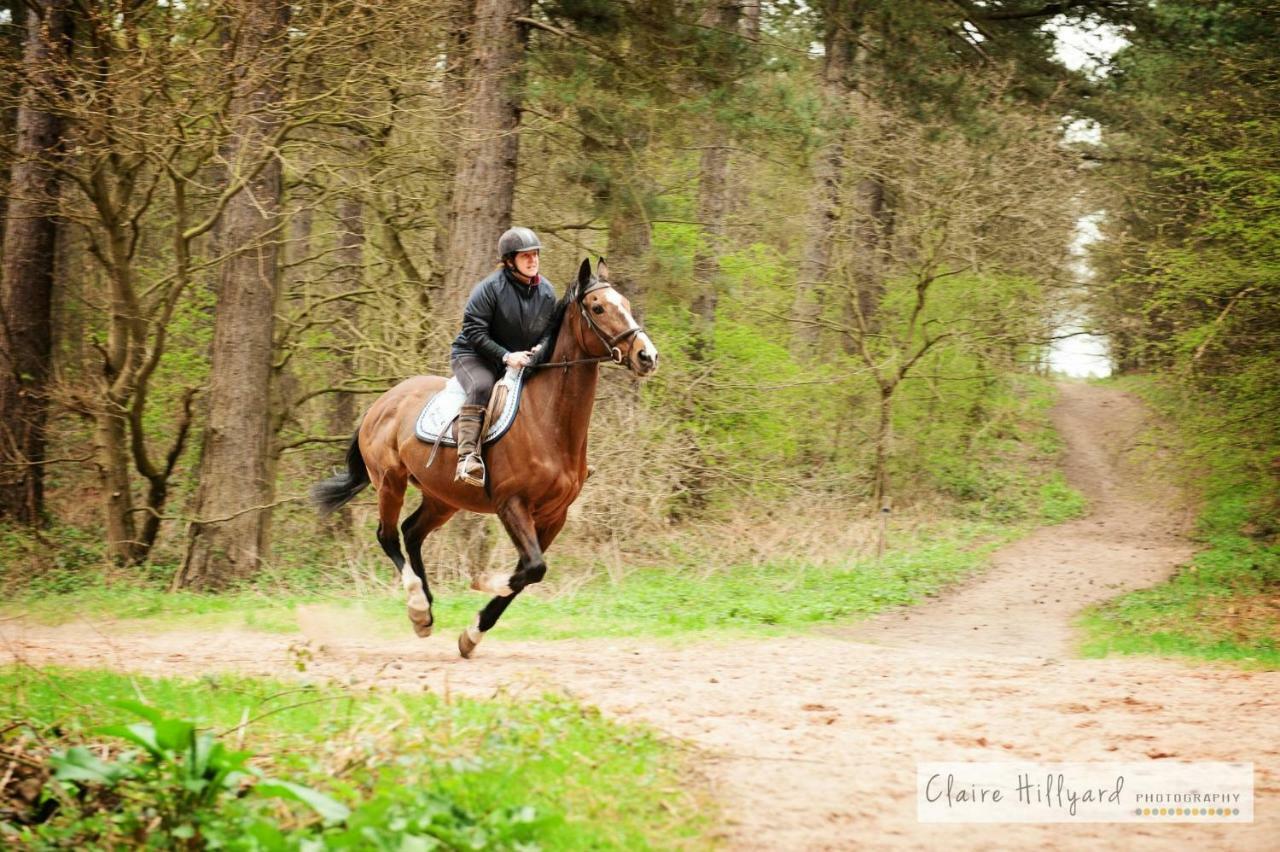 Lord Byron Lodge Blidworth Buitenkant foto